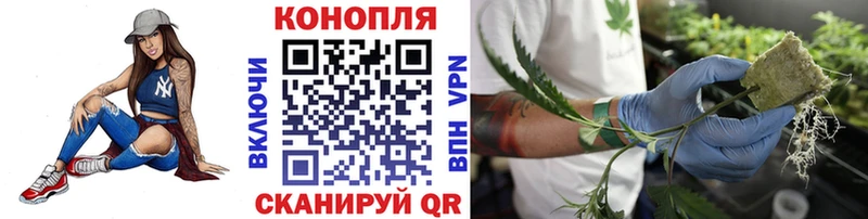 Названия наркотиков Щигры A PVP  Амфетамин  Канабис  КОКАИН  Мефедрон 