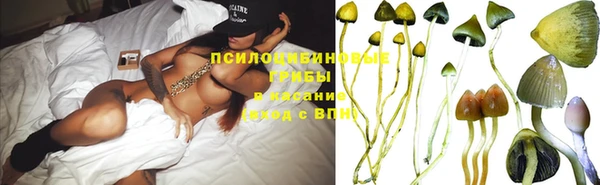 индика Ханты-Мансийск