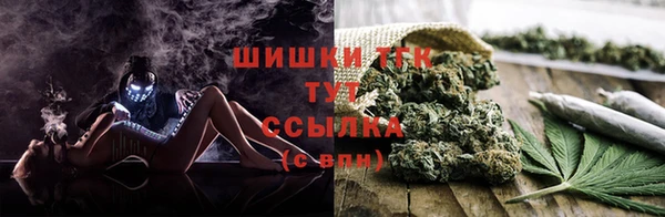 индика Ханты-Мансийск